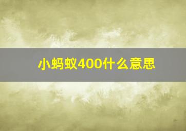 小蚂蚁400什么意思