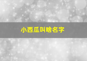 小西瓜叫啥名字