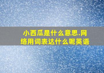 小西瓜是什么意思.网络用词表达什么呢英语