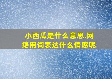 小西瓜是什么意思.网络用词表达什么情感呢