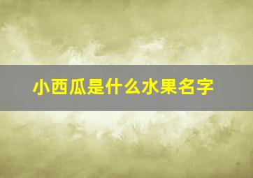 小西瓜是什么水果名字