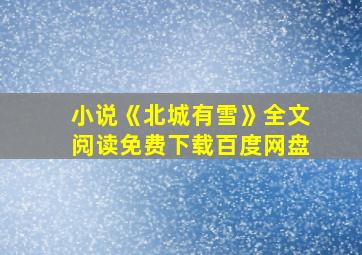 小说《北城有雪》全文阅读免费下载百度网盘