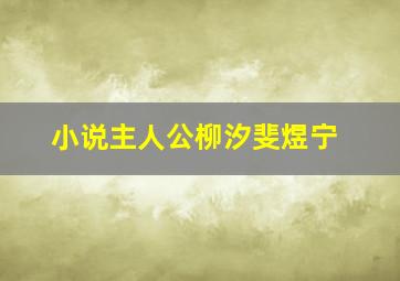 小说主人公柳汐斐煜宁