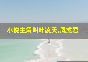 小说主角叫叶凌天,凤或君