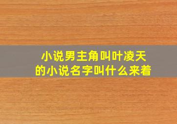 小说男主角叫叶凌天的小说名字叫什么来着