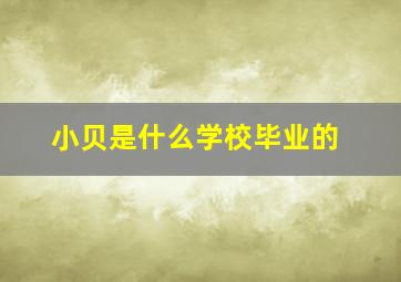 小贝是什么学校毕业的