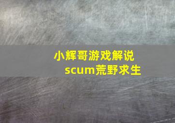 小辉哥游戏解说scum荒野求生