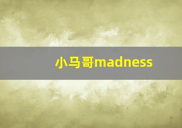 小马哥madness