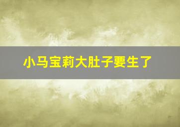 小马宝莉大肚子要生了