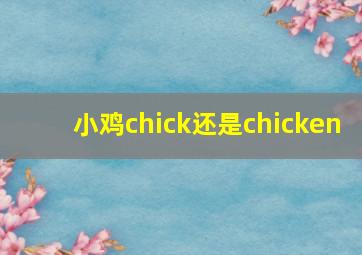 小鸡chick还是chicken