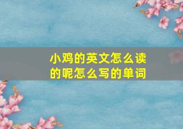 小鸡的英文怎么读的呢怎么写的单词