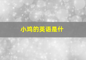 小鸡的英语是什