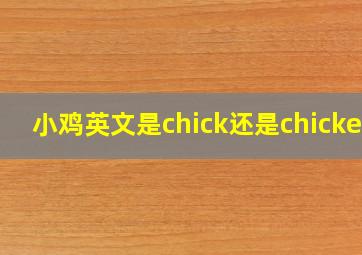 小鸡英文是chick还是chicken