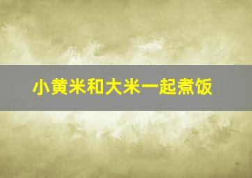 小黄米和大米一起煮饭