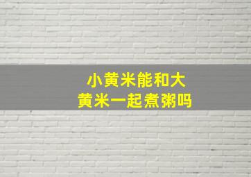 小黄米能和大黄米一起煮粥吗