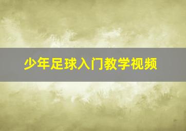 少年足球入门教学视频