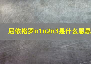 尼依格罗n1n2n3是什么意思