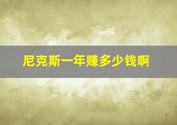 尼克斯一年赚多少钱啊