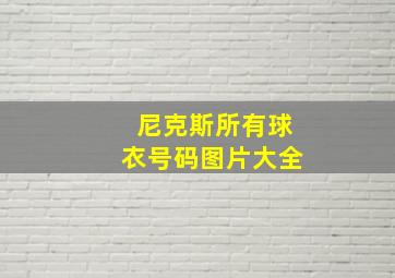 尼克斯所有球衣号码图片大全