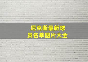 尼克斯最新球员名单图片大全