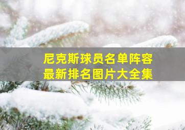 尼克斯球员名单阵容最新排名图片大全集