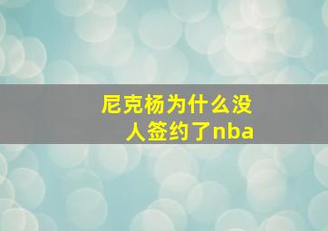 尼克杨为什么没人签约了nba