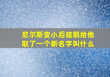 尼尔斯变小后雄鹅给他取了一个新名字叫什么