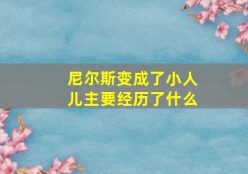 尼尔斯变成了小人儿主要经历了什么