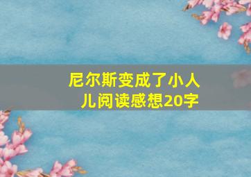 尼尔斯变成了小人儿阅读感想20字