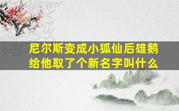 尼尔斯变成小狐仙后雄鹅给他取了个新名字叫什么