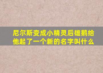 尼尔斯变成小精灵后雄鹅给他起了一个新的名字叫什么