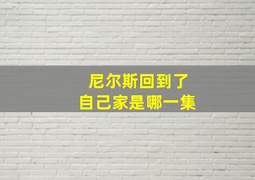 尼尔斯回到了自己家是哪一集