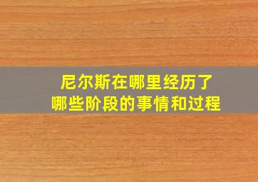 尼尔斯在哪里经历了哪些阶段的事情和过程