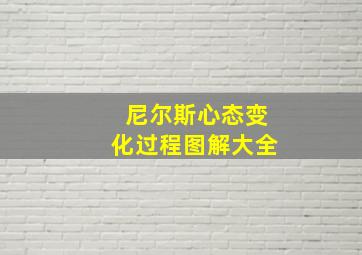 尼尔斯心态变化过程图解大全