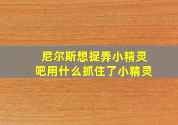 尼尔斯想捉弄小精灵吧用什么抓住了小精灵