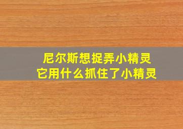 尼尔斯想捉弄小精灵它用什么抓住了小精灵