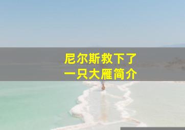 尼尔斯救下了一只大雁简介