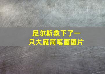 尼尔斯救下了一只大雁简笔画图片