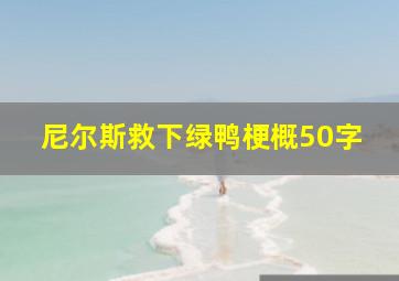 尼尔斯救下绿鸭梗概50字