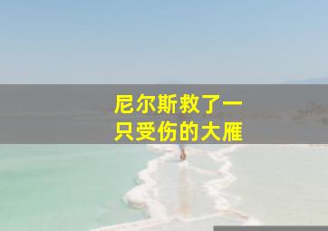 尼尔斯救了一只受伤的大雁