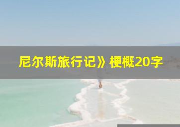 尼尔斯旅行记》梗概20字