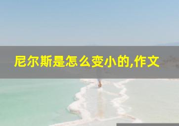 尼尔斯是怎么变小的,作文