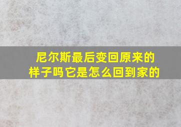 尼尔斯最后变回原来的样子吗它是怎么回到家的