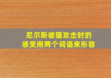 尼尔斯被猫攻击时的感受用两个词语来形容