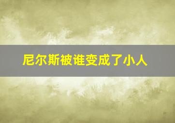 尼尔斯被谁变成了小人