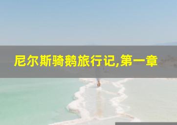 尼尔斯骑鹅旅行记,第一章