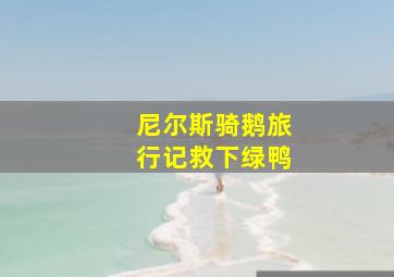 尼尔斯骑鹅旅行记救下绿鸭