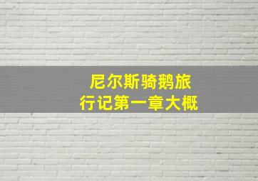 尼尔斯骑鹅旅行记第一章大概