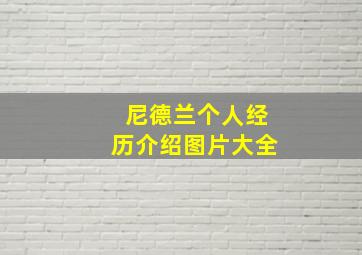 尼德兰个人经历介绍图片大全