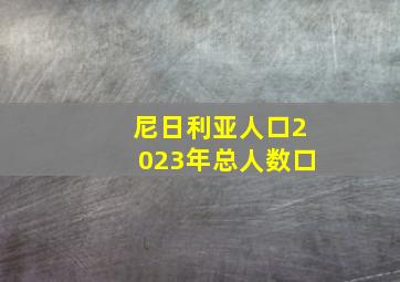 尼日利亚人口2023年总人数口